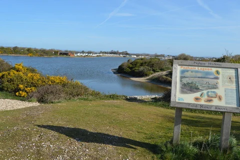 An image depicting the trail Pagham Harbour Walk and its surrounding area.