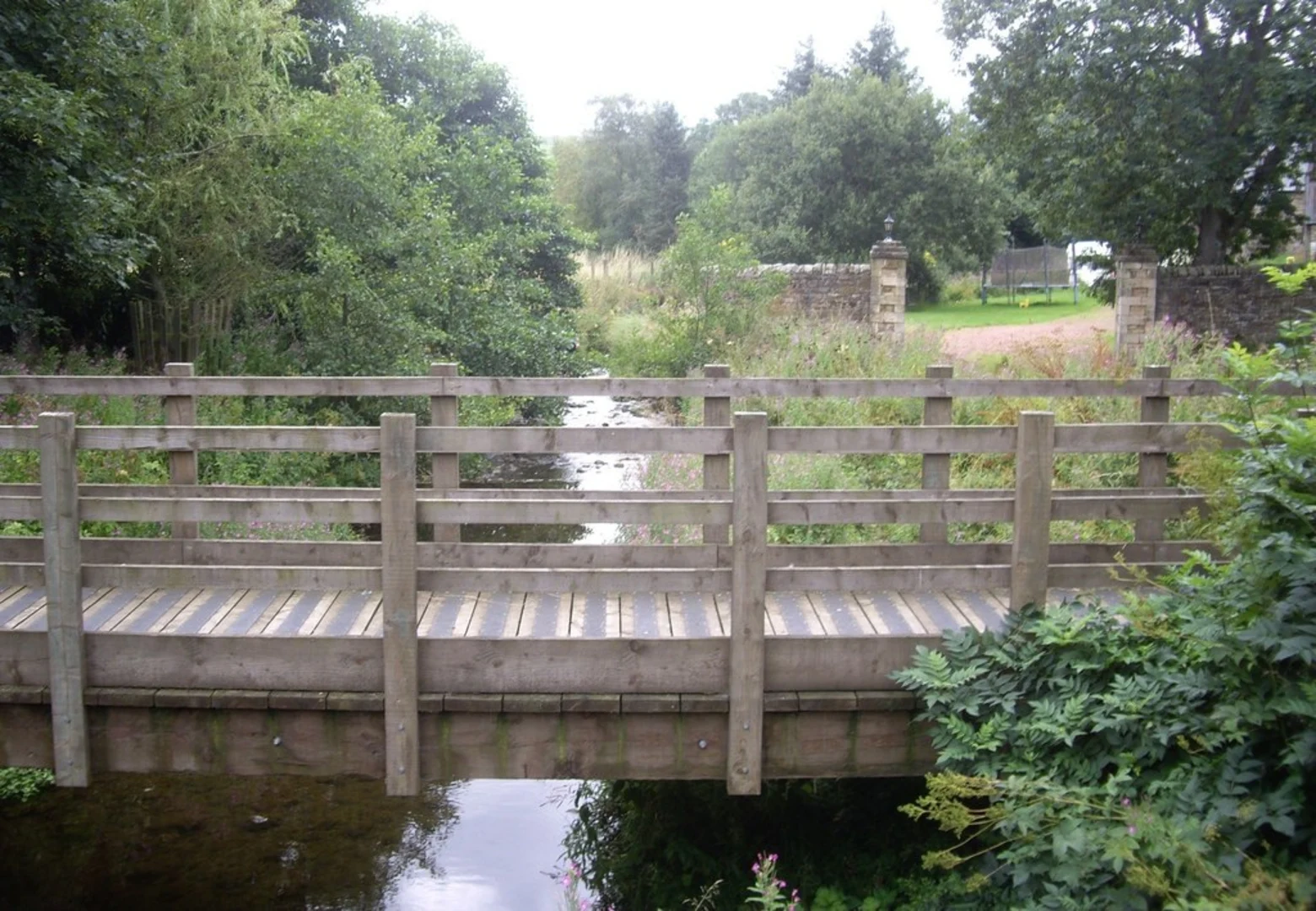 An image depicting the trail Elsdon Loop and its surrounding area.