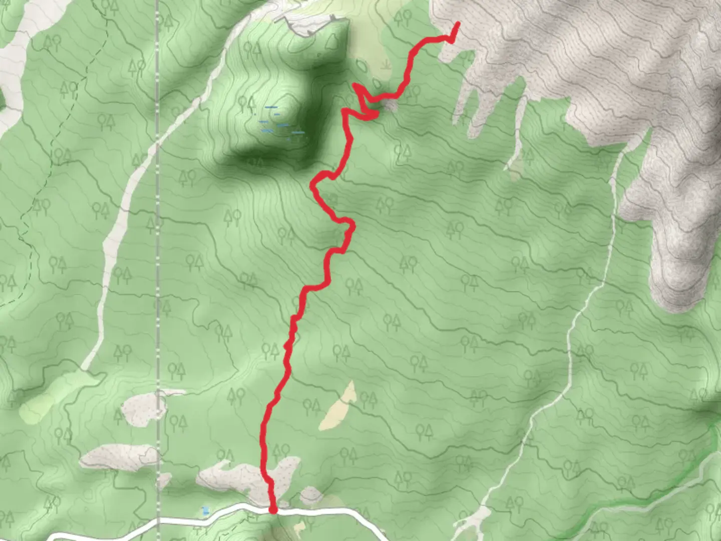 An image depicting the trail Butte Camp and Toutle Trail and its surrounding area.