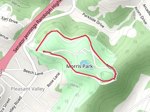 Morris Park Loop