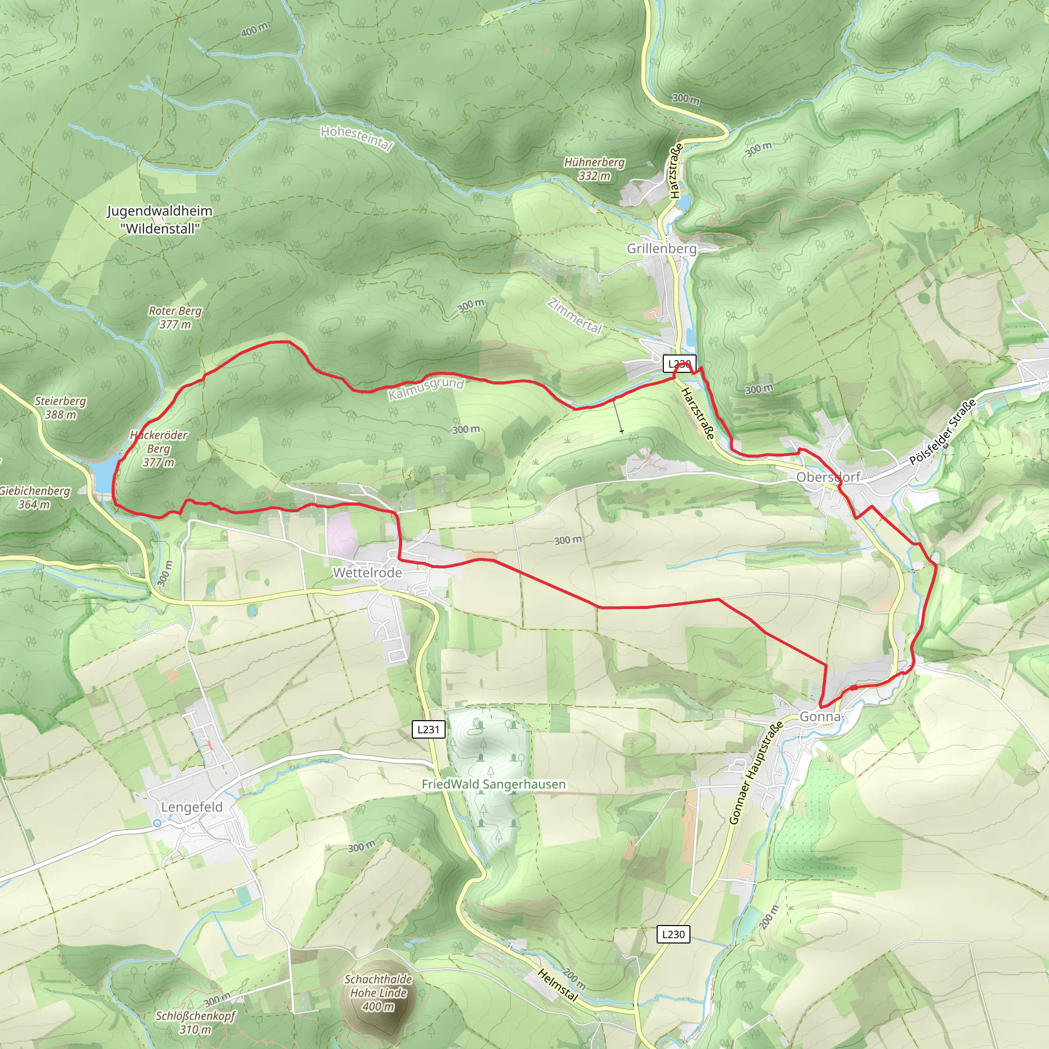 Kunstteich Loop via Karstwanderweg - Gonna mobile static map