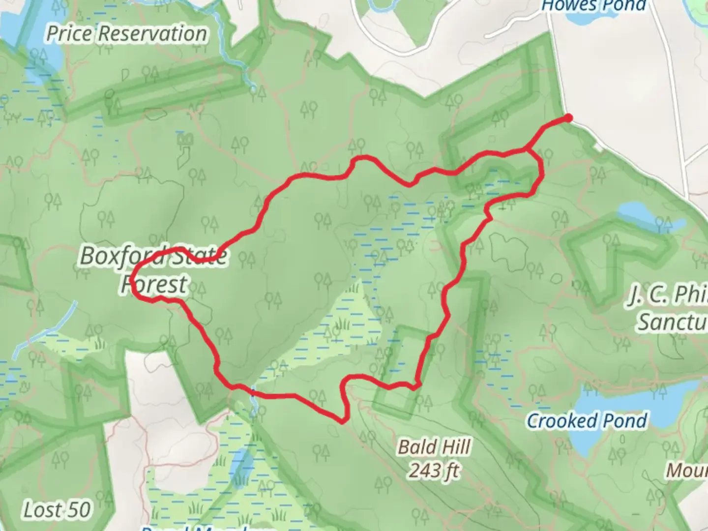 An image depicting the trail Boxford State Forest Loop and its surrounding area.