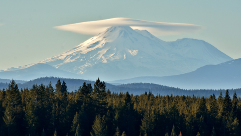 An image depicting the trail Brewer Creek Trail and its surrounding area.