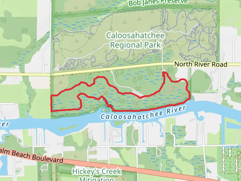 Oxbow - Saw Palmetto -Shoreline Loop Trail
