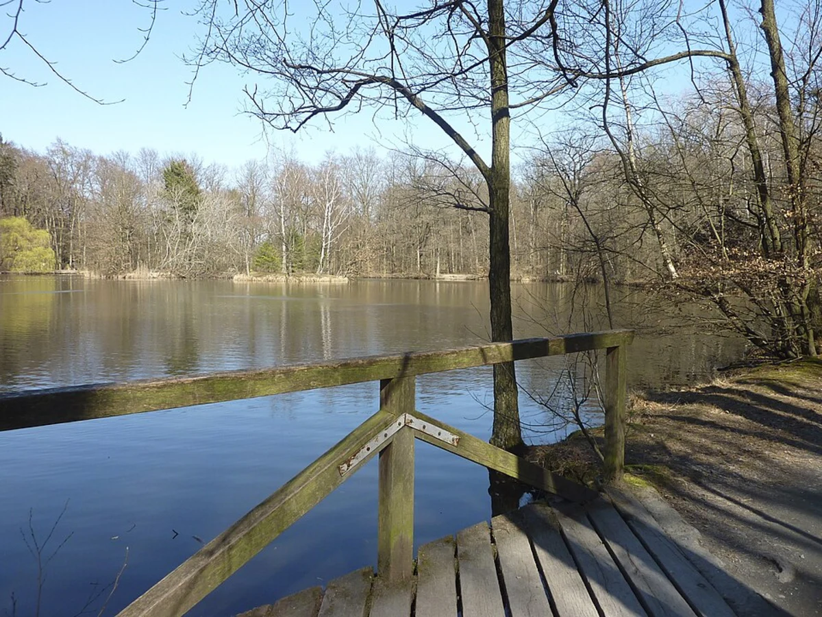 Luderbach and Maunzenweiher via Gruenguertelwanderweg