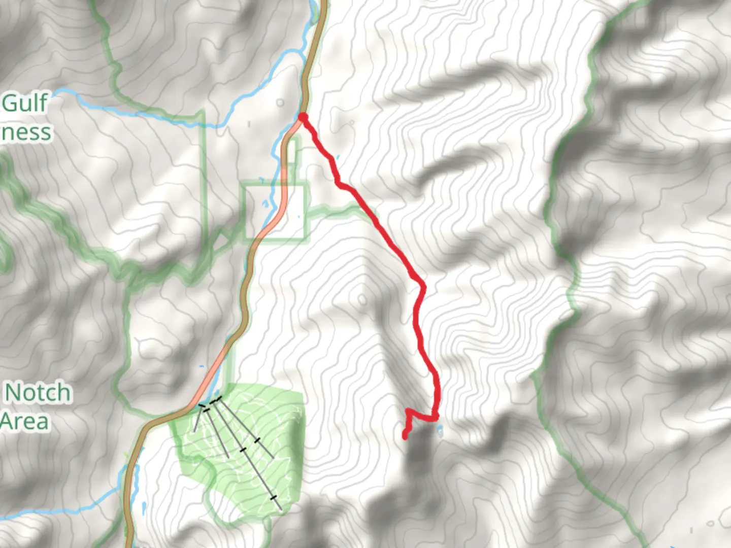 An image depicting the trail Wildcat Mountain via Nineteen Mile Brook Trail and its surrounding area.