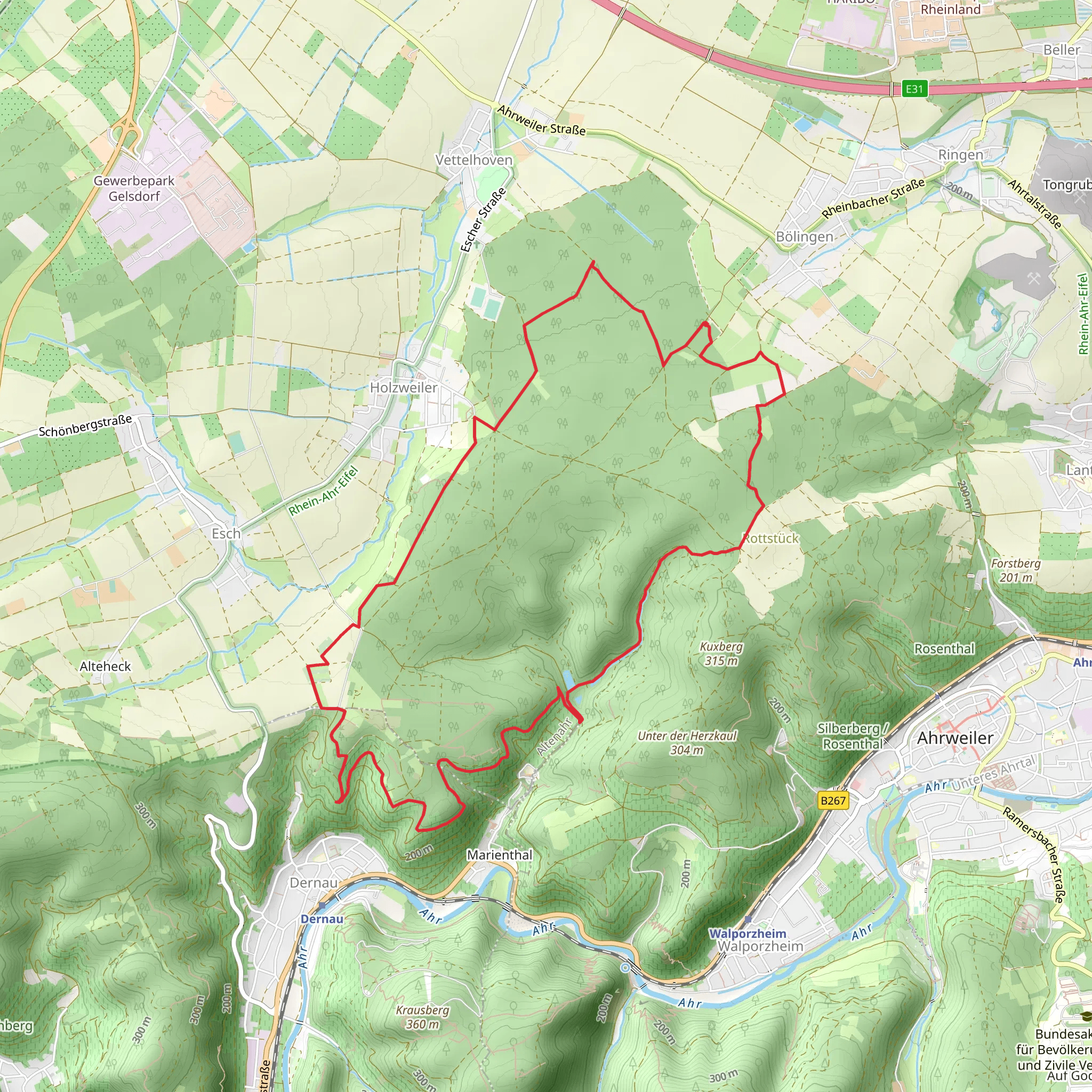 Bölingen Loop mobile static map