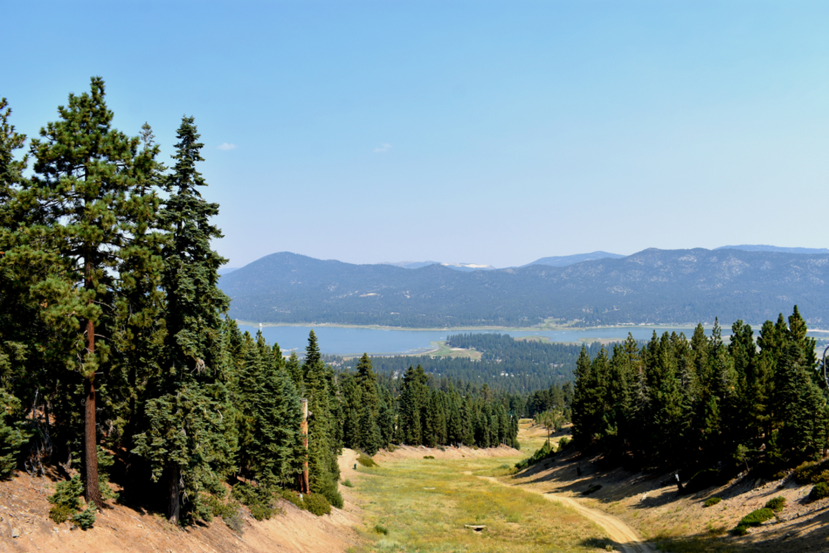 Camp Creek National Recreation Trail