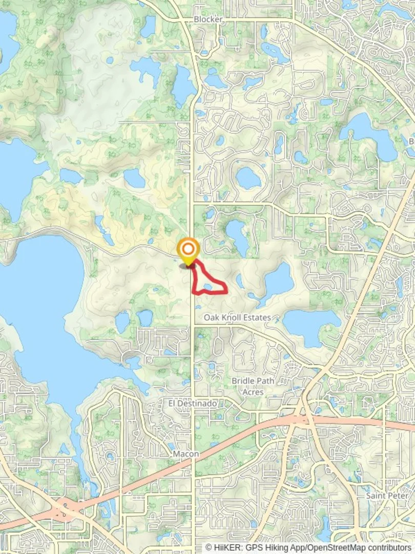 An image depicting the trail Little Gum Pond - Ravine Loop Trail and its surrounding area.