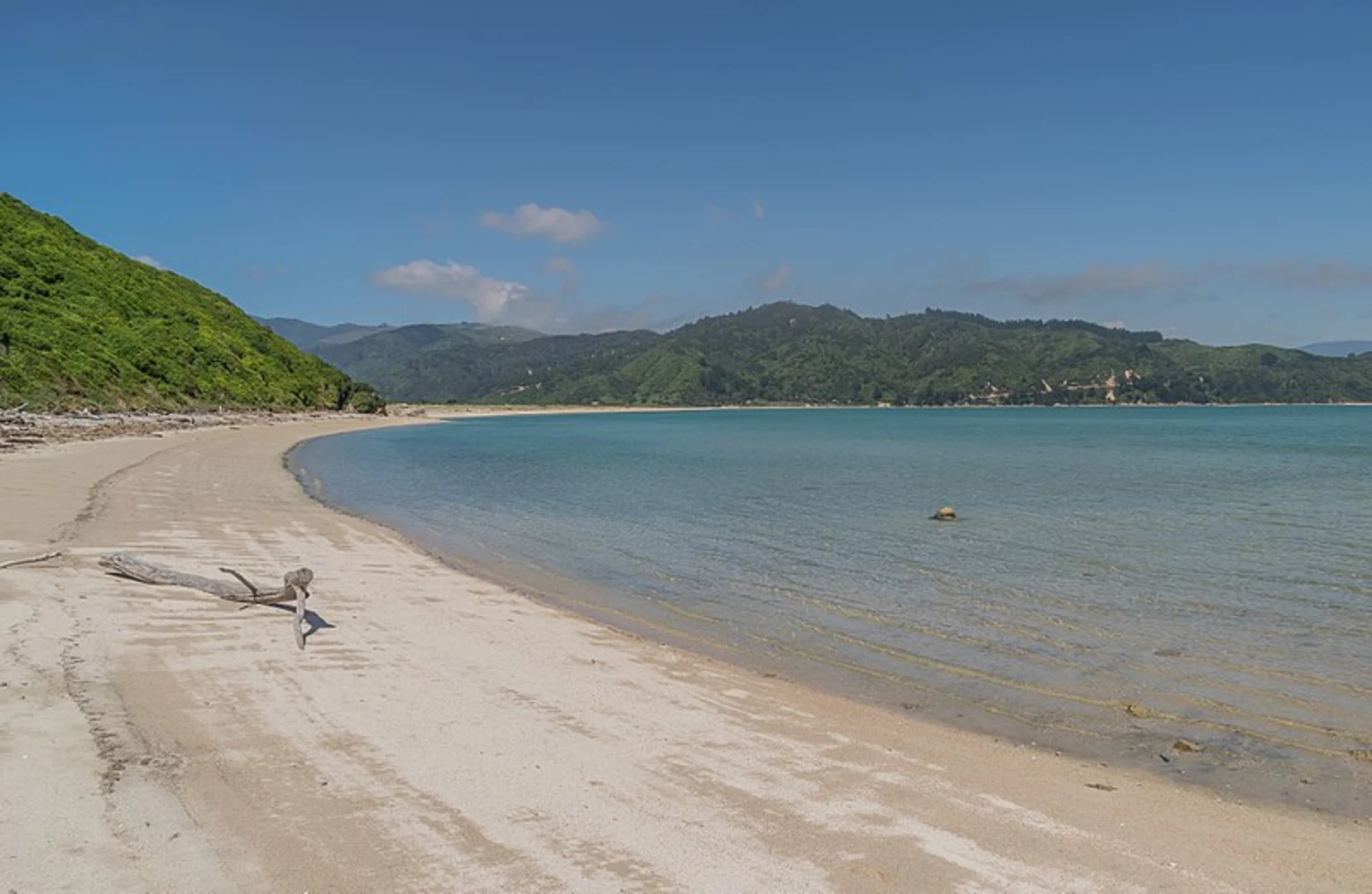 An image depicting the trail Wainui Bay Taupo Point and its surrounding area.