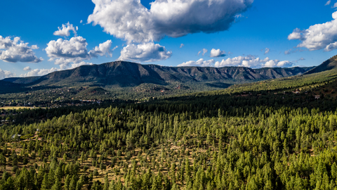 Mogollon Rim Trail