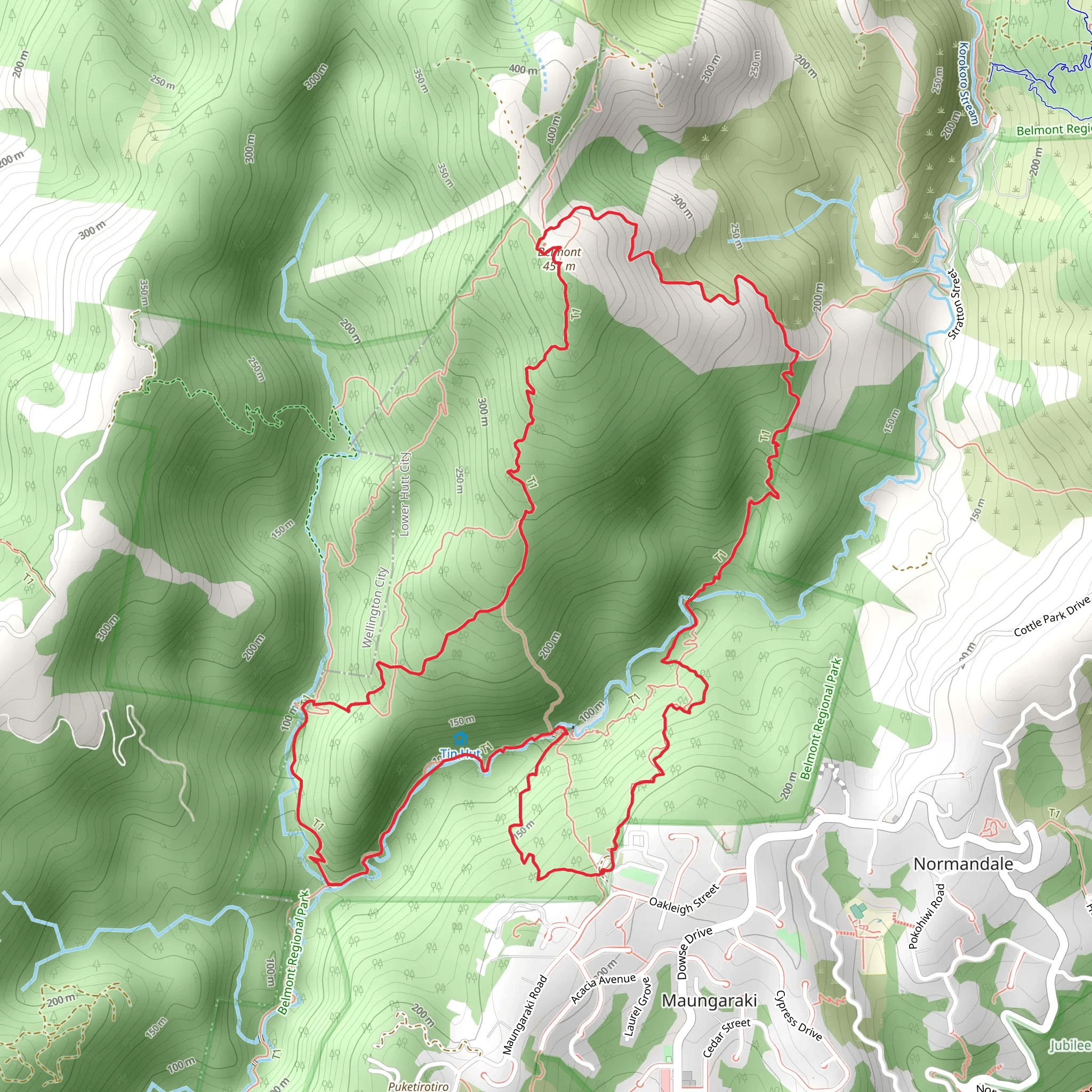 Belmont Trig Track mobile static map