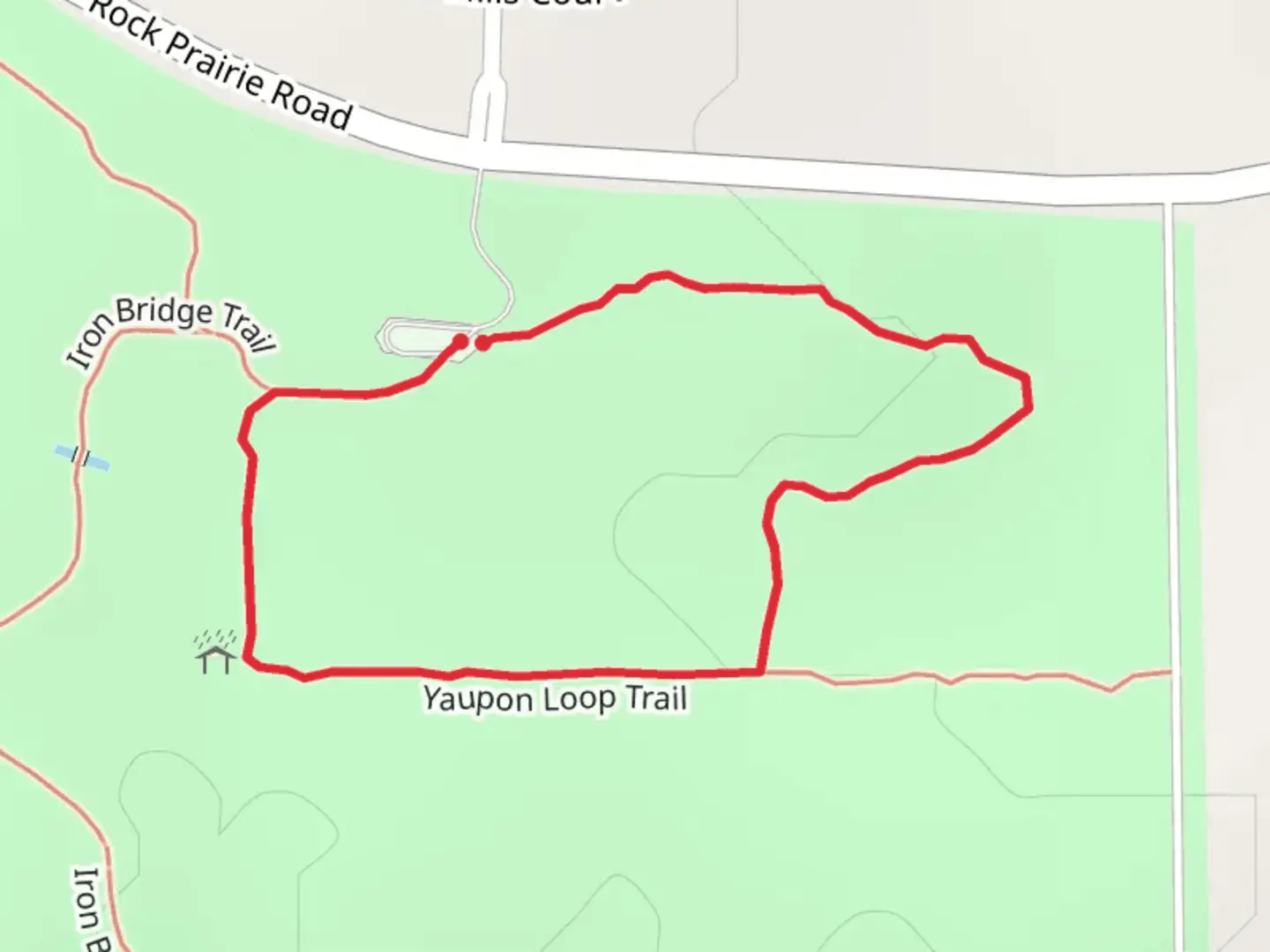An image depicting the trail Yaupon Loop Trail and its surrounding area.