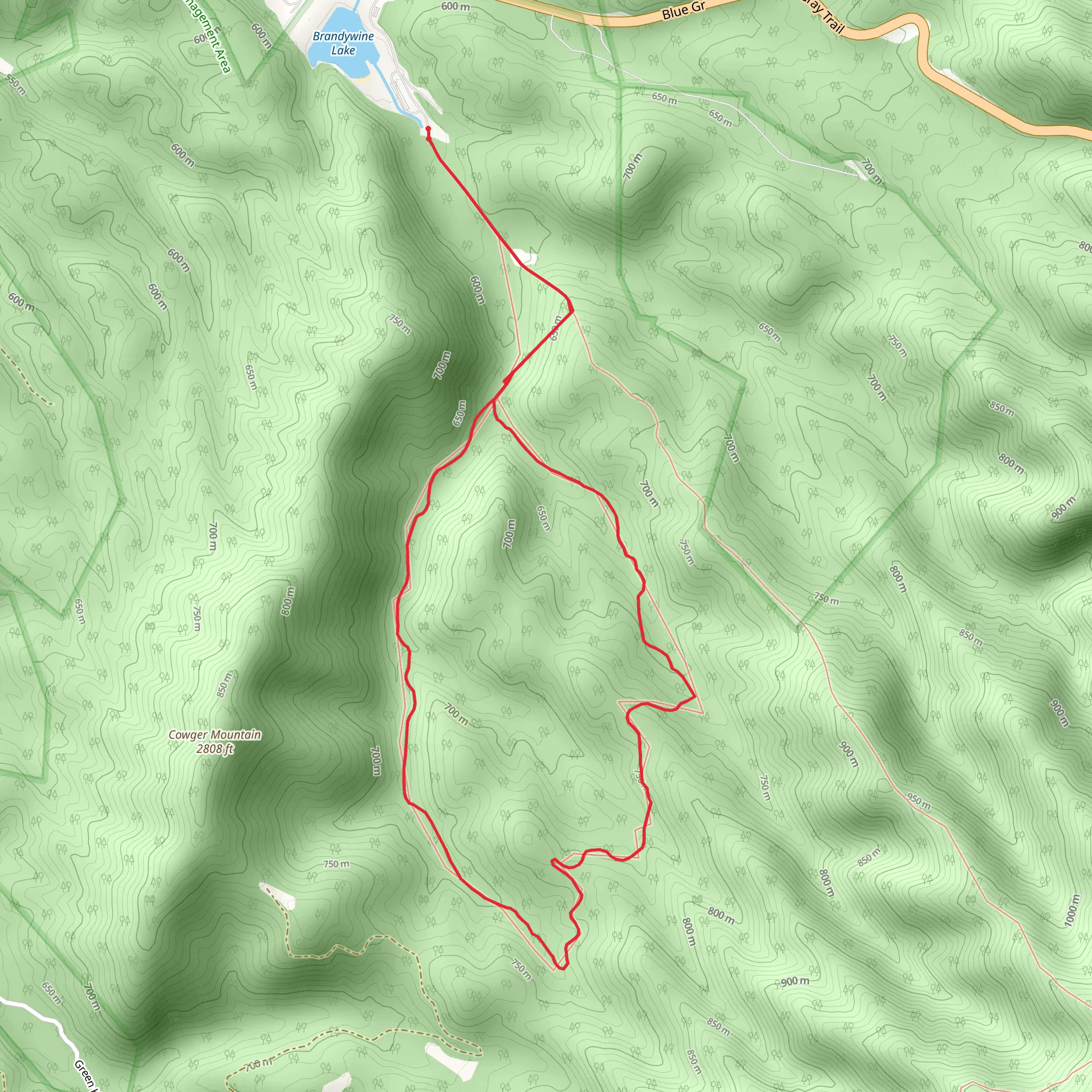 Saw Mill Loop Trail mobile static map