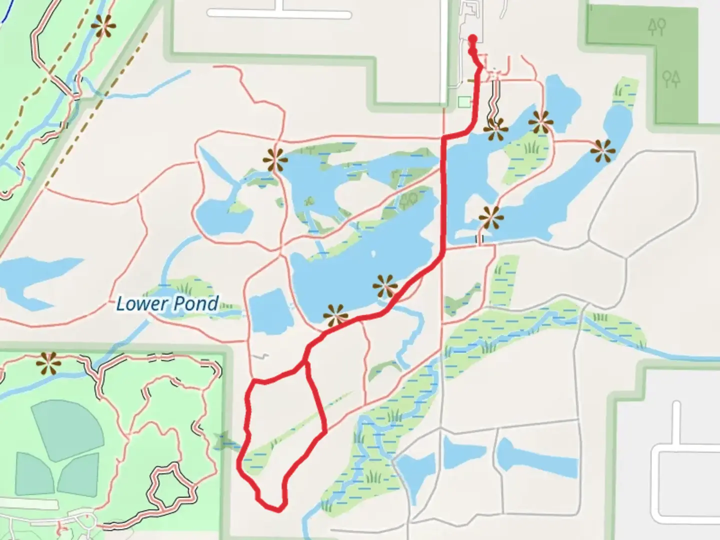 An image depicting the trail Beech Tree Trail via Lily Pond and its surrounding area.