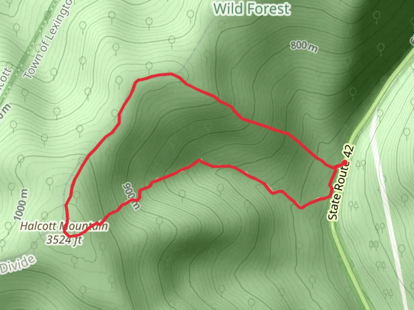 An image depicting the trail Halcott Mountain Herd Path Loop and its surrounding area.
