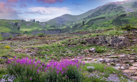An image depicting the trail Yule Pass Trail and its surrounding area.