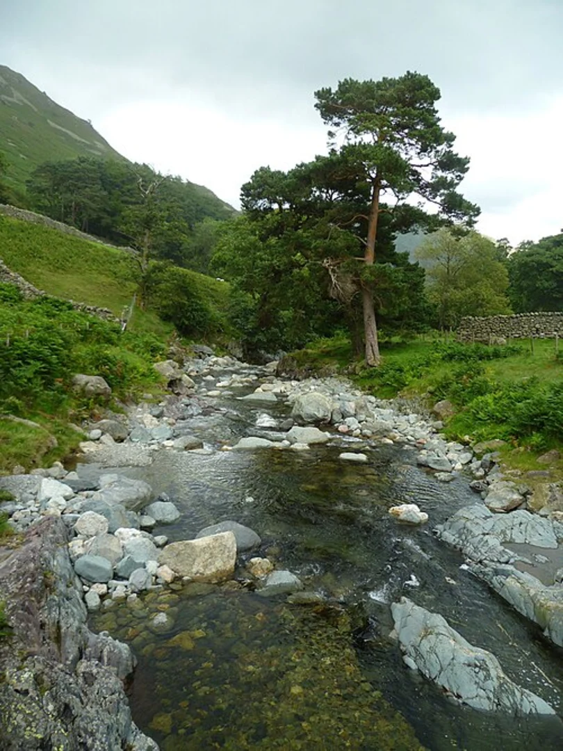 An image depicting the trail Brownend Plantation, Red Tarn and Glenridding Loop and its surrounding area.