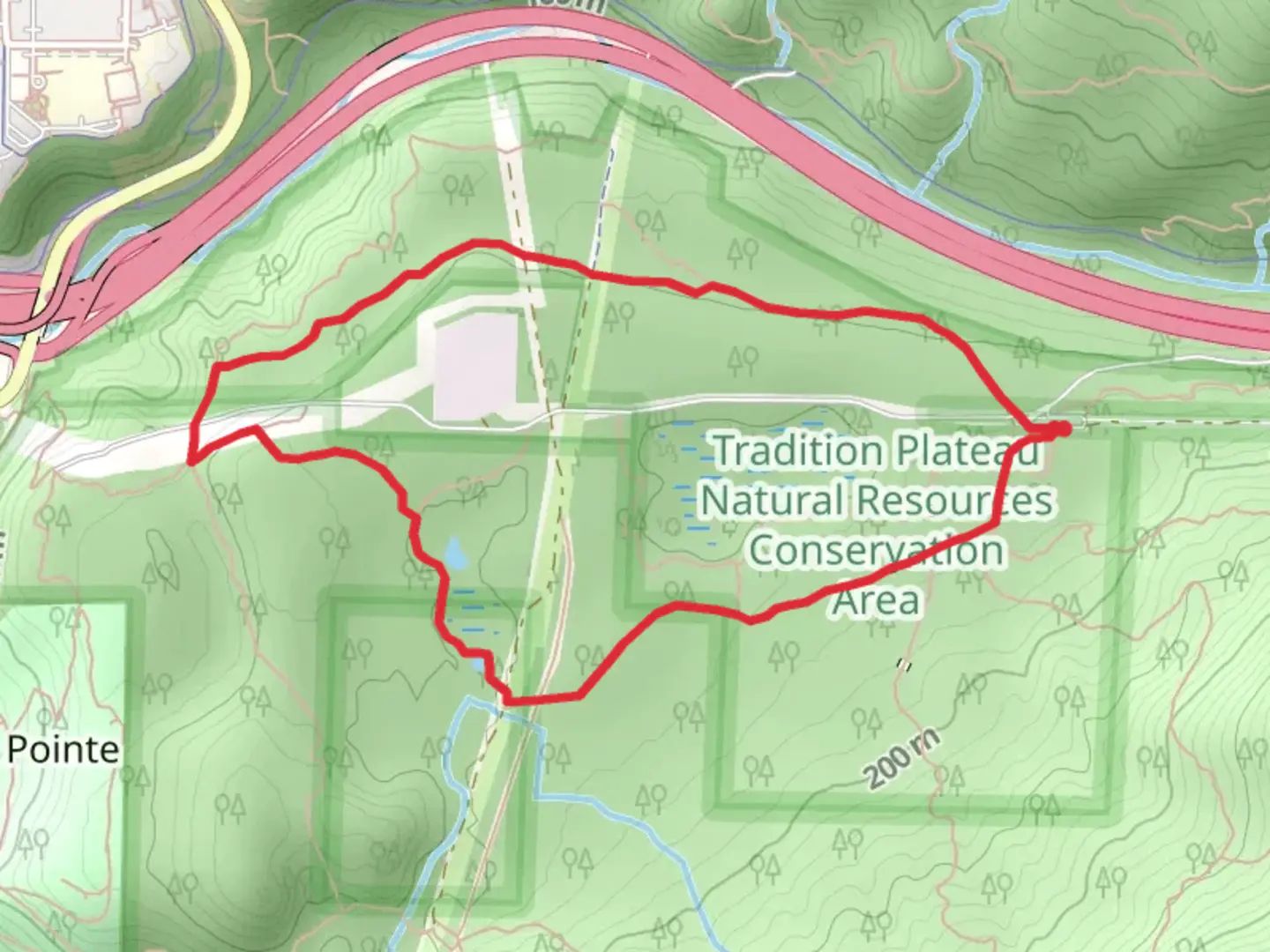 An image depicting the trail Swamp Trail and Bus Trail and its surrounding area.