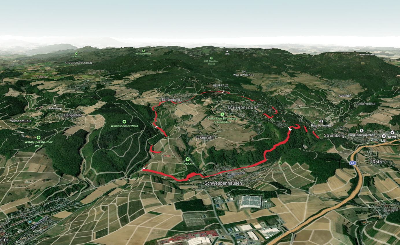 Rundweg Neupfalz and Michels Vitaltour Loop