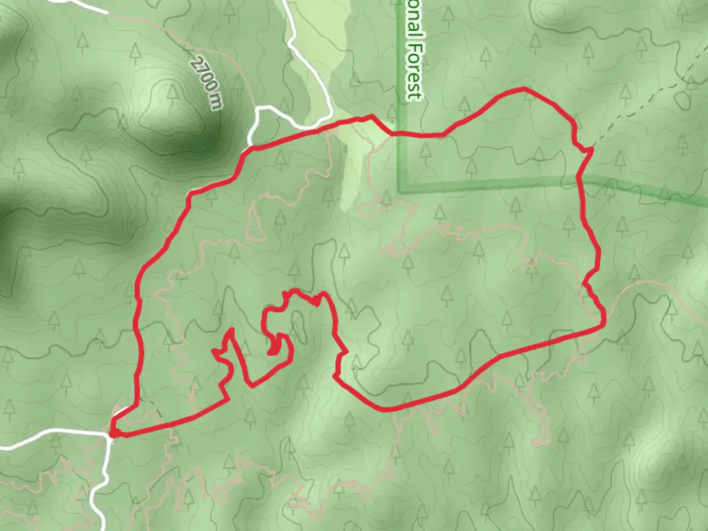 An image depicting the trail County Road 304 Loop and its surrounding area.