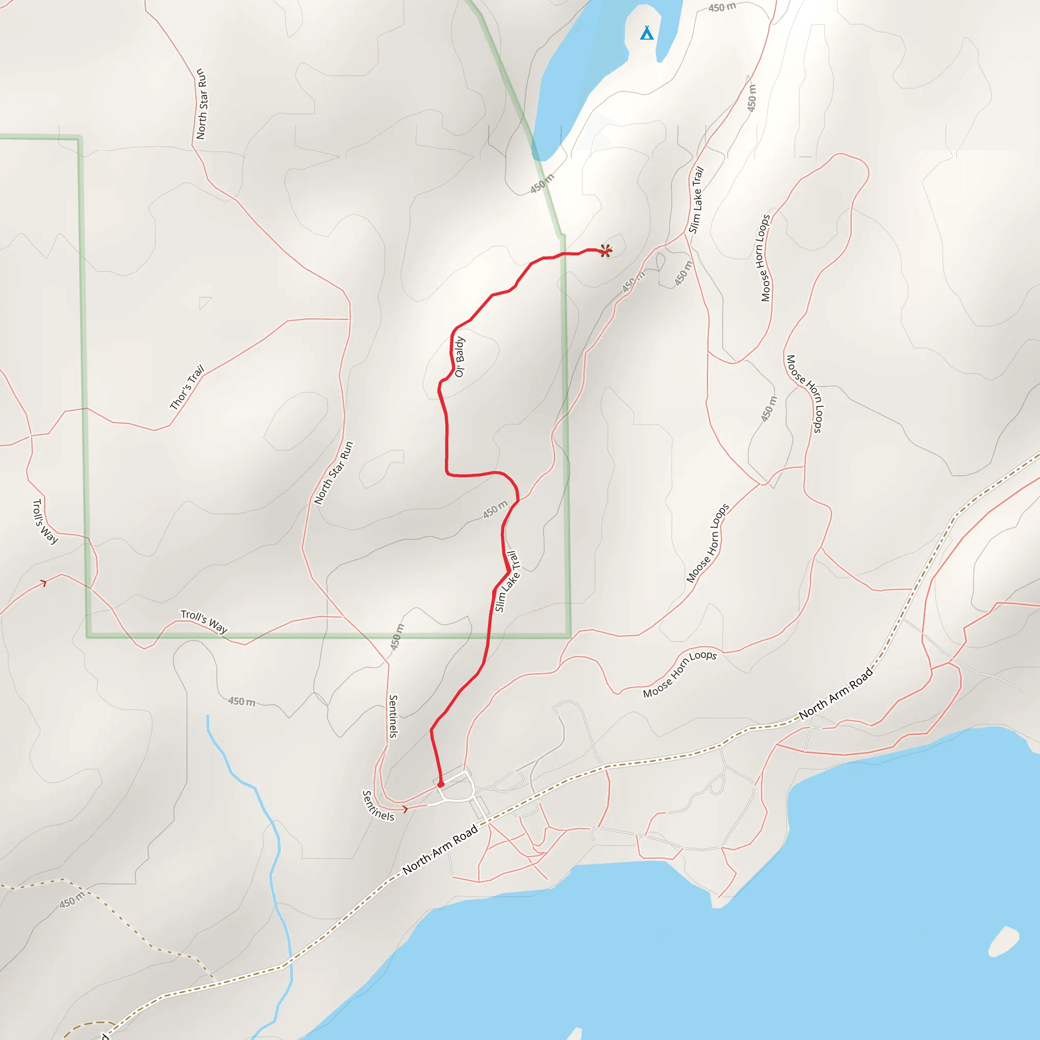 Slim Lake Trail and Ol' Baldy mobile static map