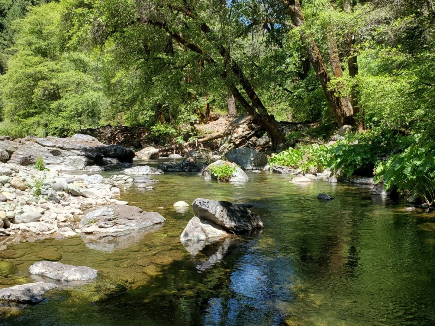 An image depicting the trail Butte Creek Trail and its surrounding area.