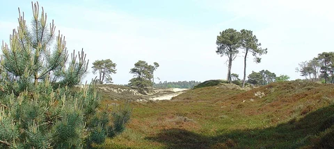 Aekingerzand of Kale Duinen, Aekingerveld and Greenspoele Loop