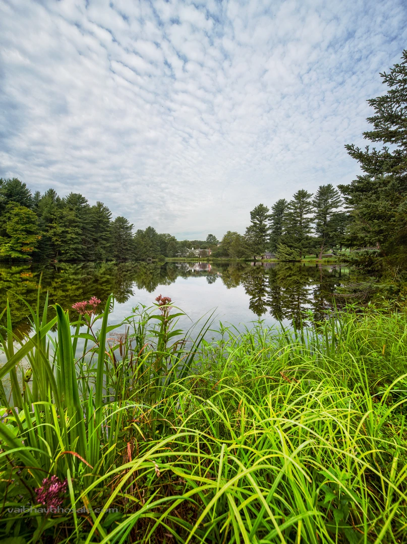 An image depicting the trail Butcher Pond and Suydam Pond Loop and its surrounding area.