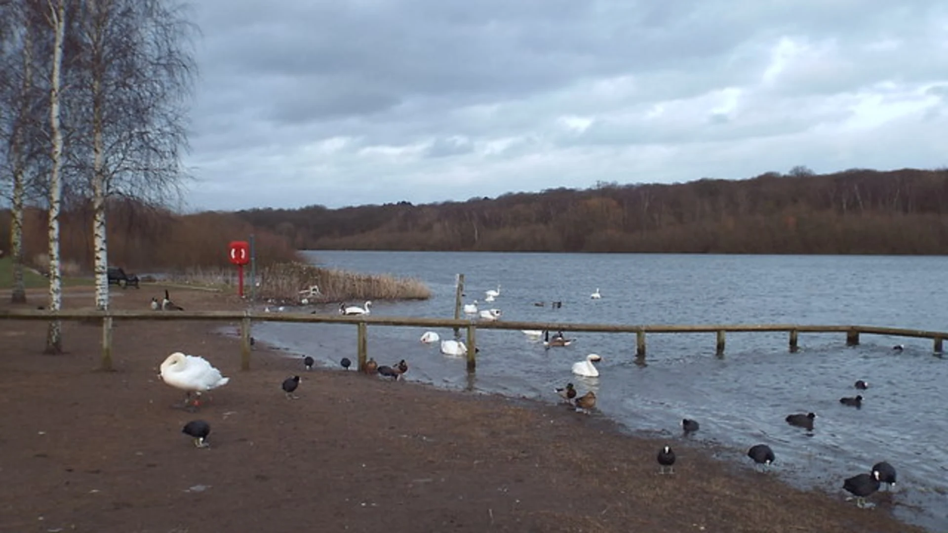 An image depicting the trail Bayhurst Wood, Mad Bess Wood and Ruislip Lido via Hillingdon Trail and its surrounding area.