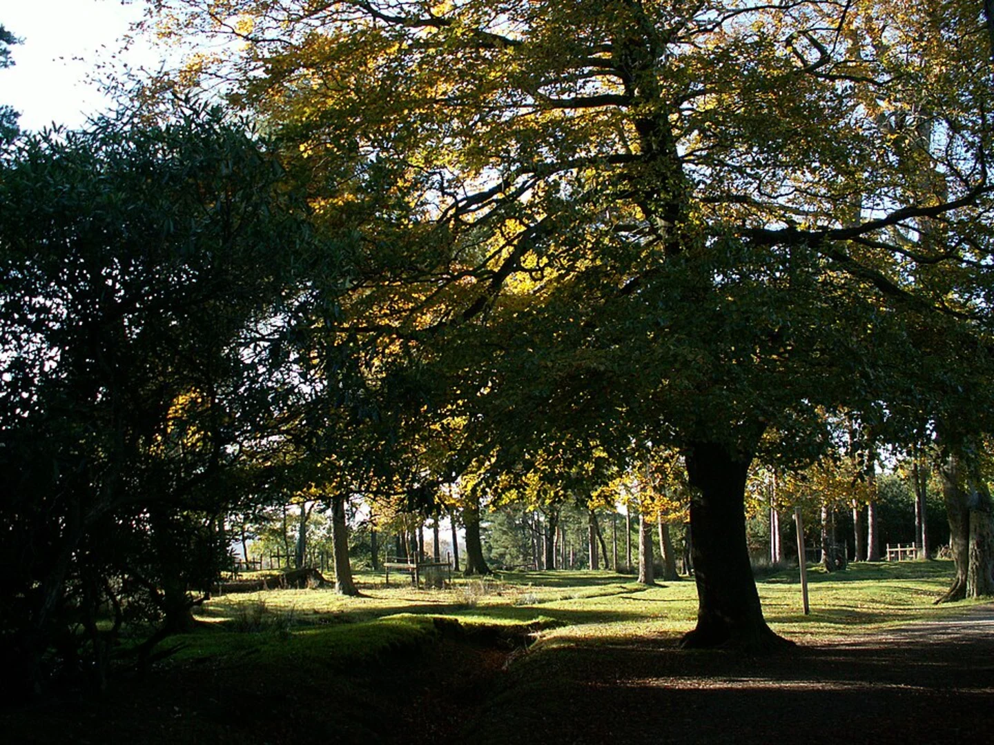 An image depicting the trail National Trust - Longshaw Loop and its surrounding area.