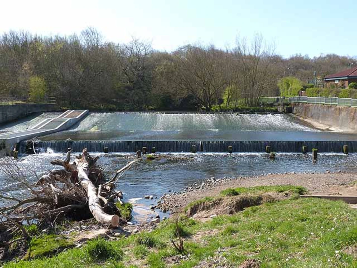 An image depicting the trail Derwent Country Park via Derwent Walk and its surrounding area.