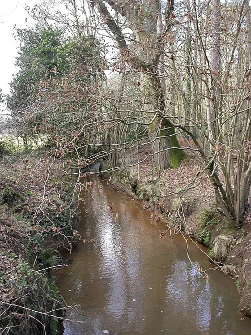 An image depicting the trail River Stour via Castleman Trailway and its surrounding area.