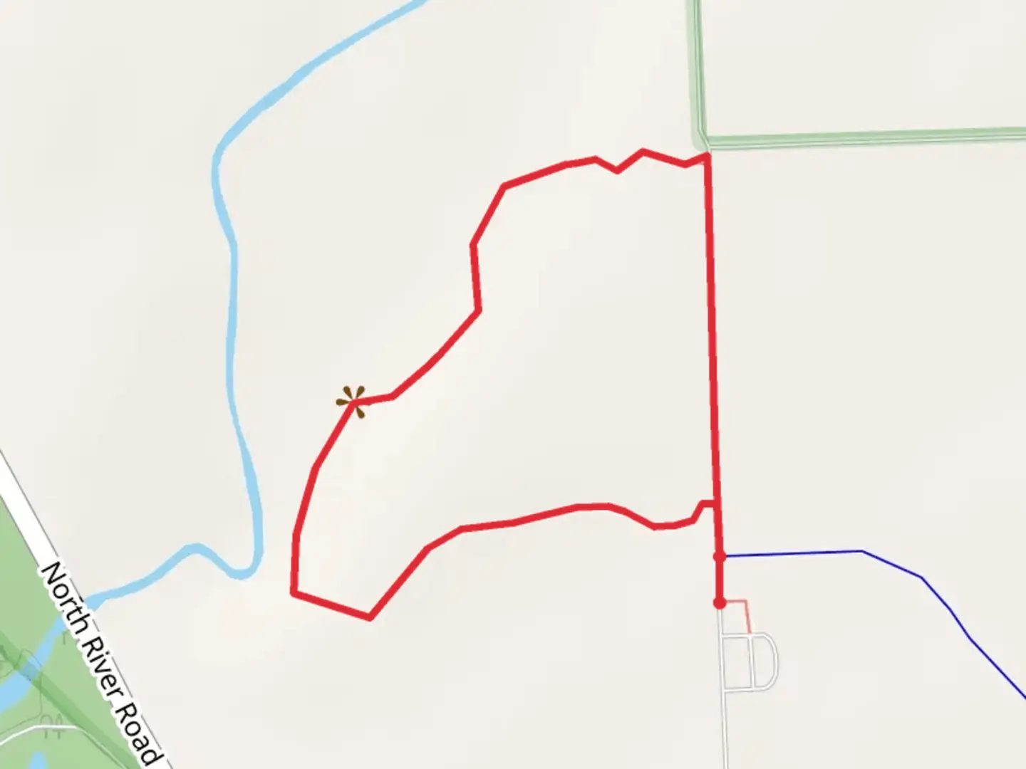 An image depicting the trail Prairie Creek Woods Loop Trail and its surrounding area.