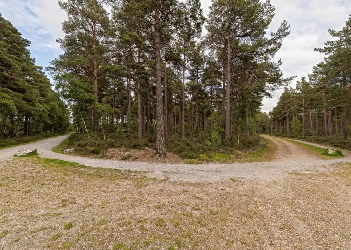 Gravel Pit Ponds Trail