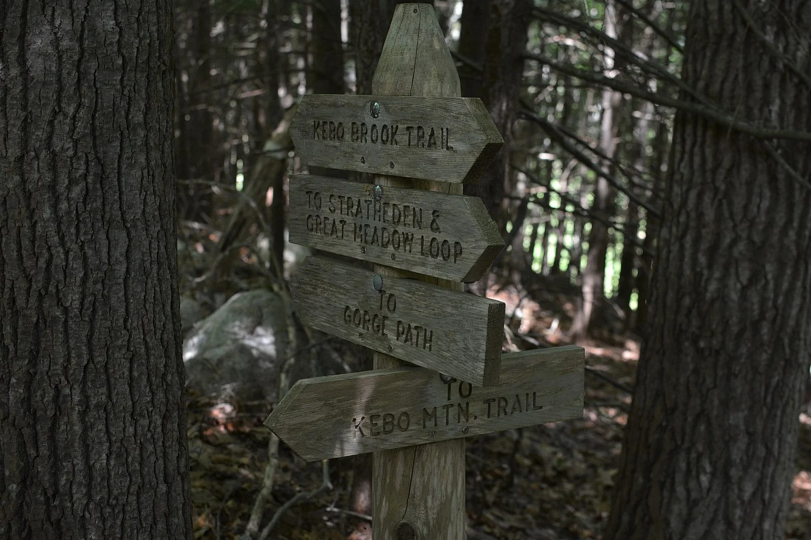 An image depicting the trail Kebo Brook Trail and its surrounding area.