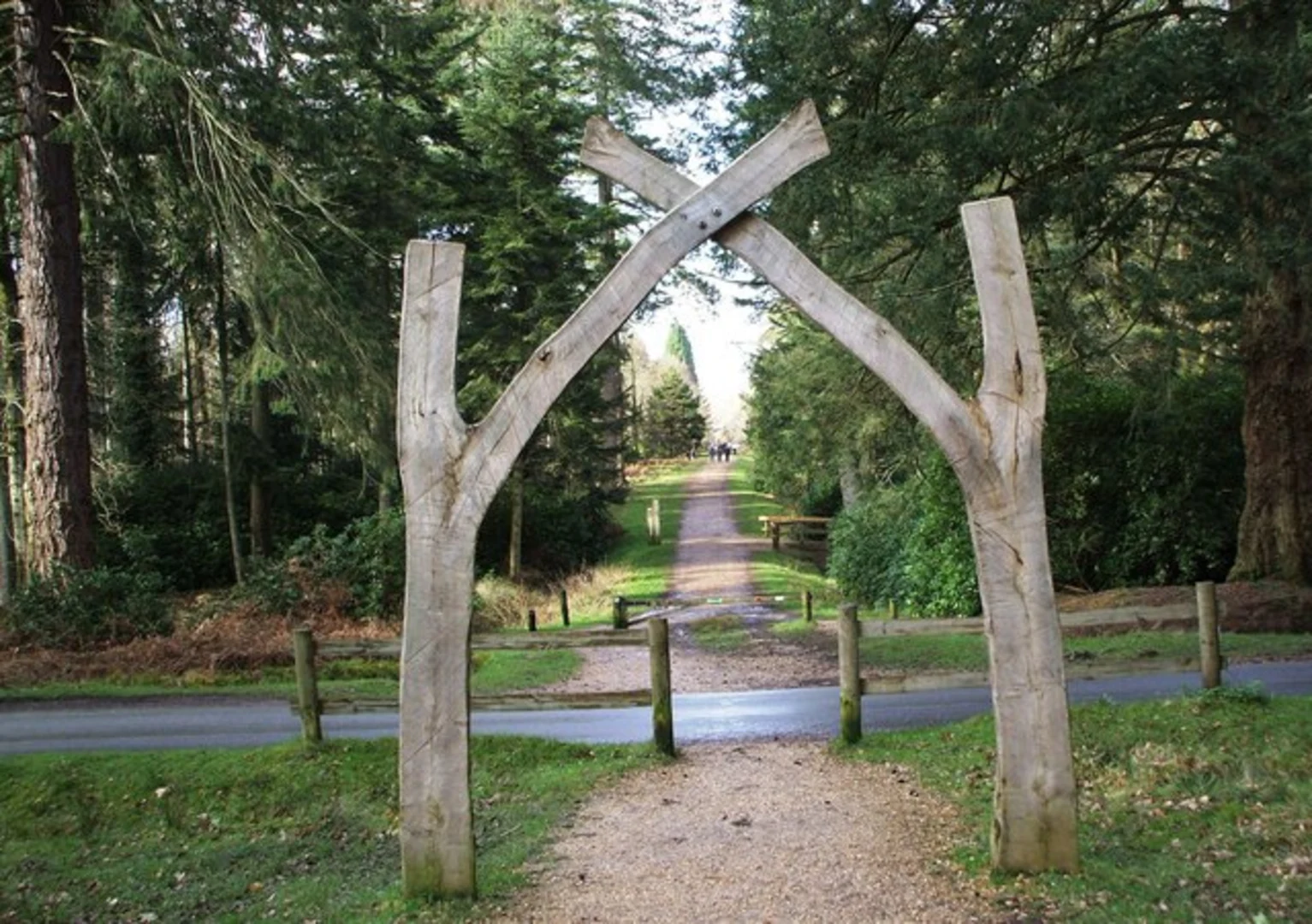 An image depicting the trail Brock Hill and Blackwater Arboretum Loop and its surrounding area.