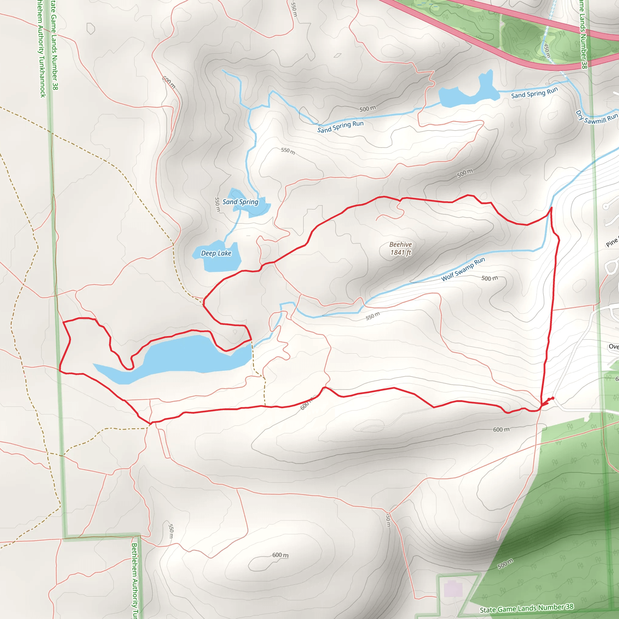 Beehive and Wolf Swamp Run Loop Trail mobile static map
