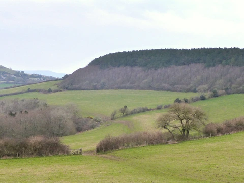 An image depicting the trail Seatown and Golden Cap Loop and its surrounding area.