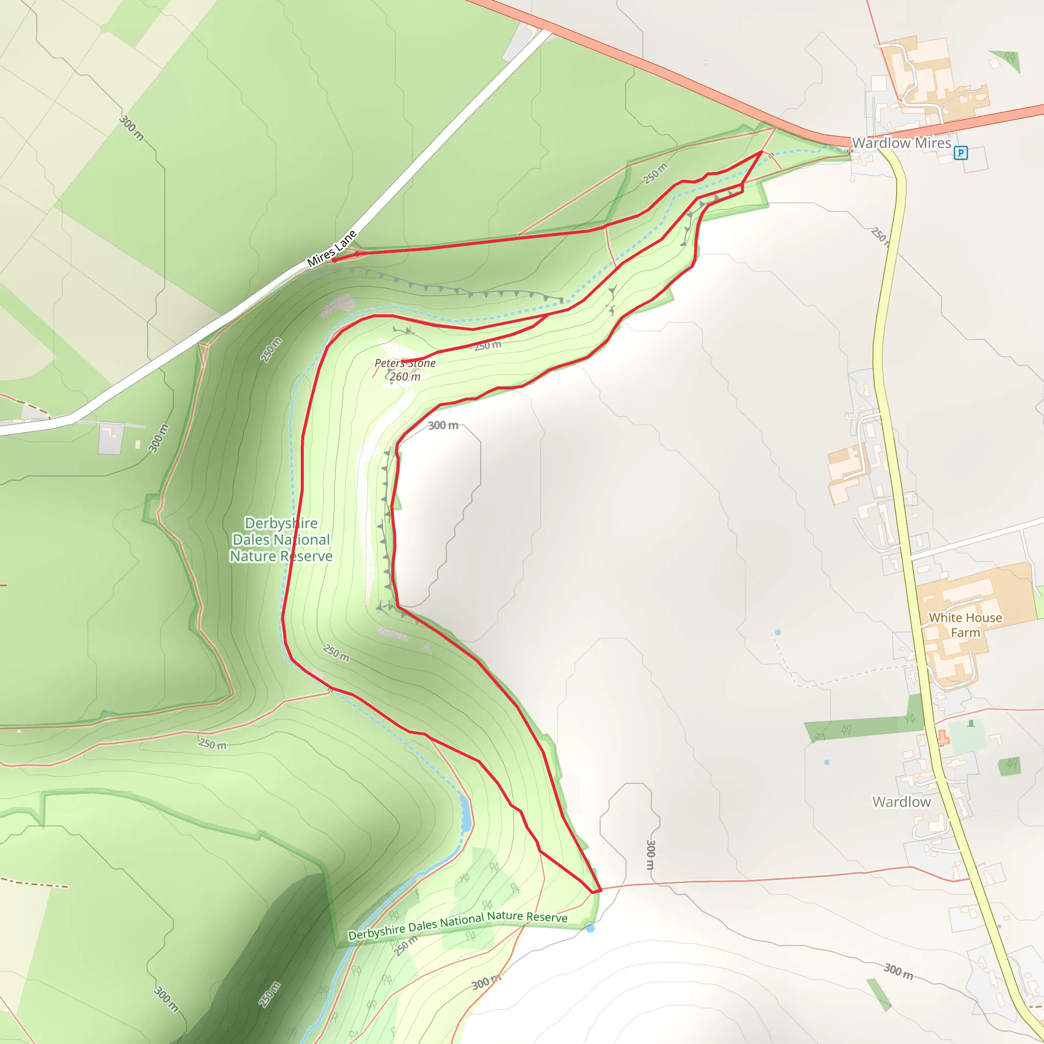 Peters Stone Loop mobile static map