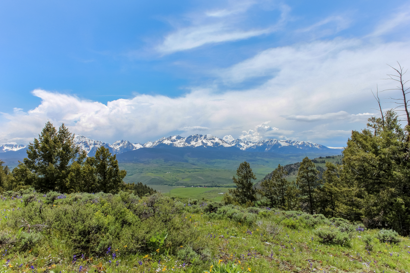 An image depicting the trail Bottle Pass Trail and its surrounding area.