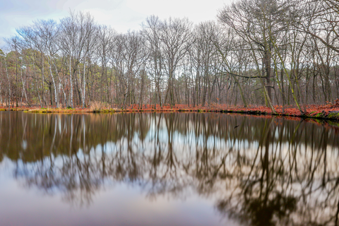 Heksenberg, Koffiepoel and Grafheuvels Loop