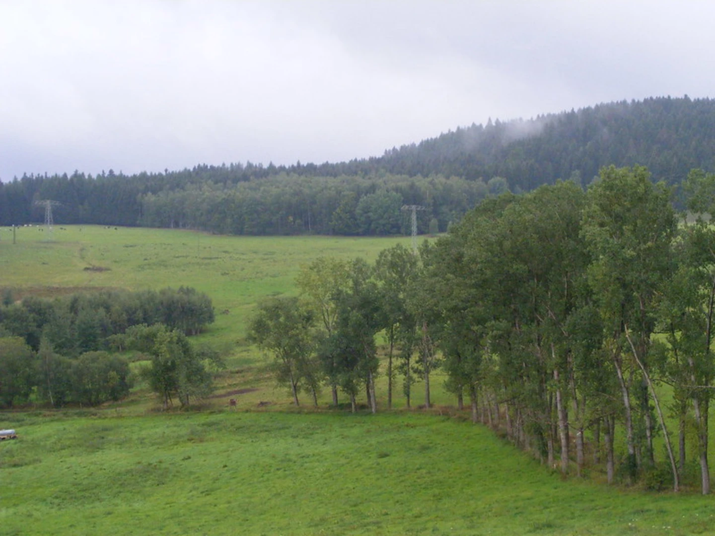 An image depicting the trail Naturschutzgebiet Dhünntal und Linnefetal Loop and its surrounding area.