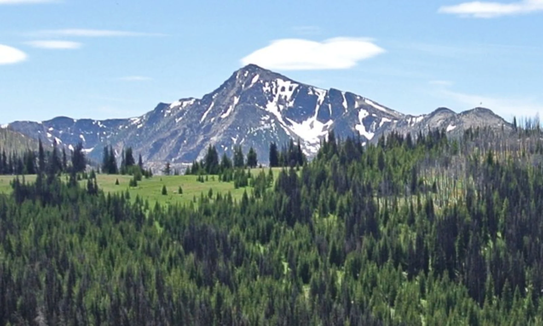 An image depicting the trail Deer Park Trail via Albert Camp Trail and its surrounding area.