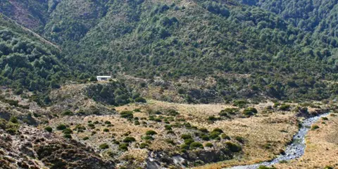 An image depicting the trail Umukarikari Track to Waipakihi Hut and its surrounding area.