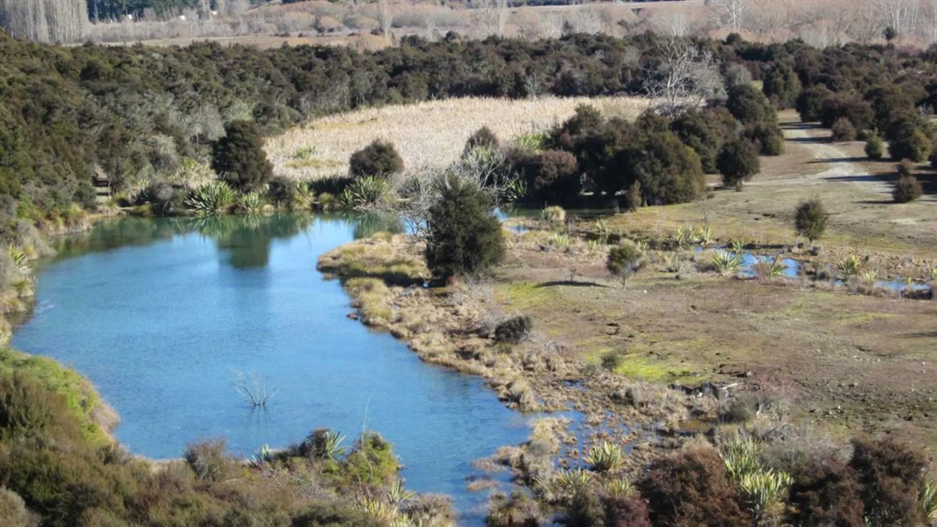 An image depicting the trail Butterfields Wetland Track and its surrounding area.