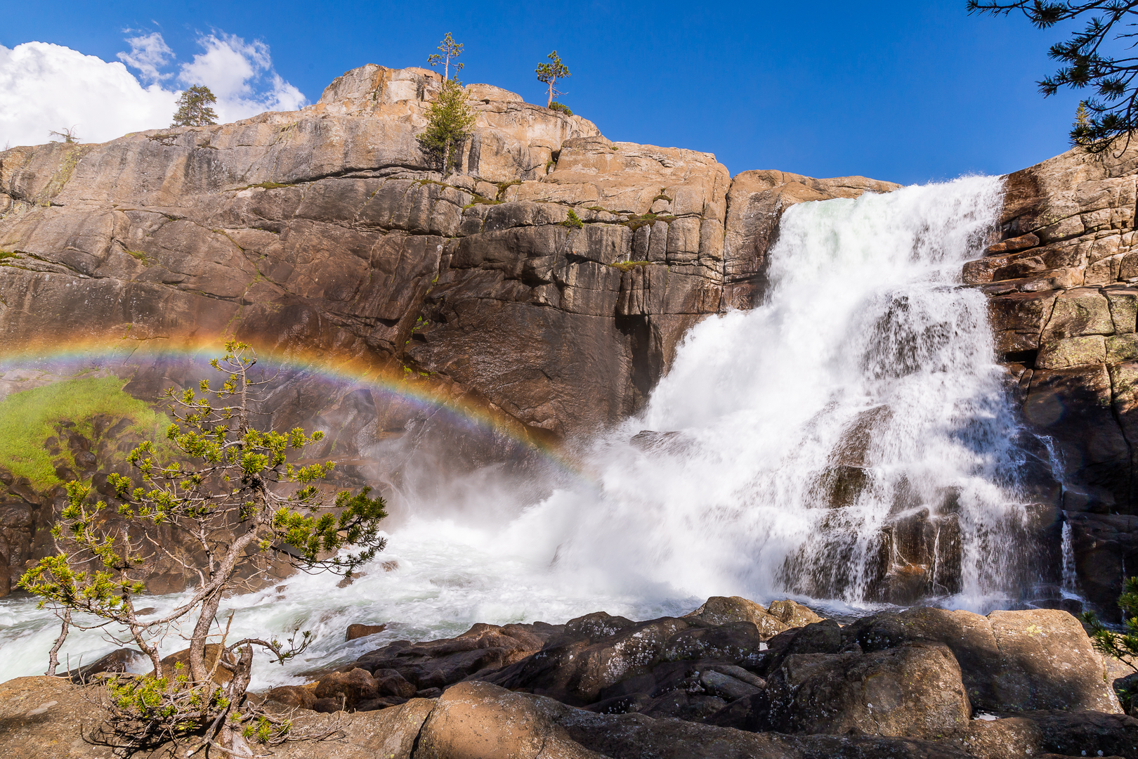 An image depicting the trail Tuolumne River and Falls via PCT and its surrounding area.