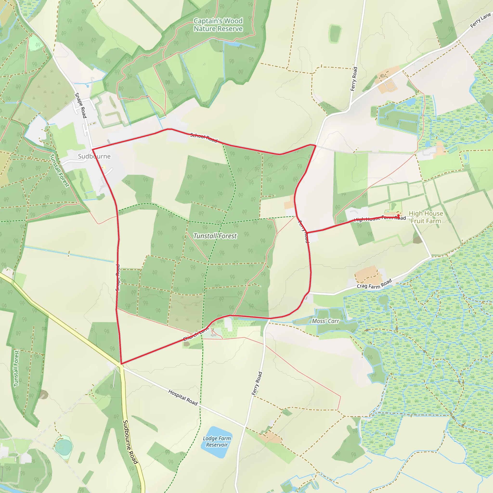 Tunstall Forest Loop Walk mobile static map
