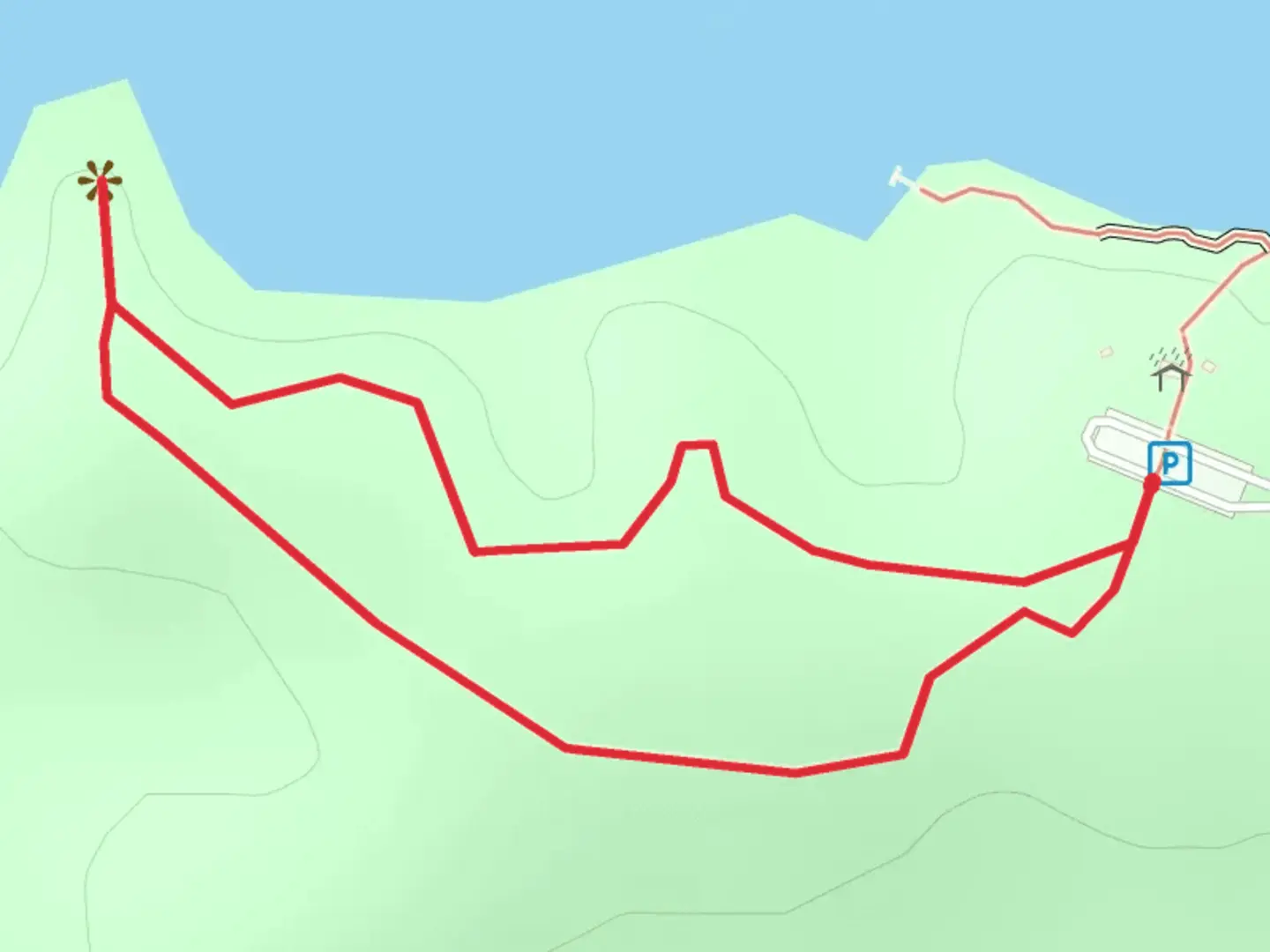 An image depicting the trail Lake Talquin State Park Loop Trail and its surrounding area.