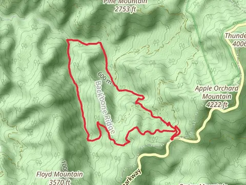 Cornelius Creek and Apple Orchard Creek Loop
